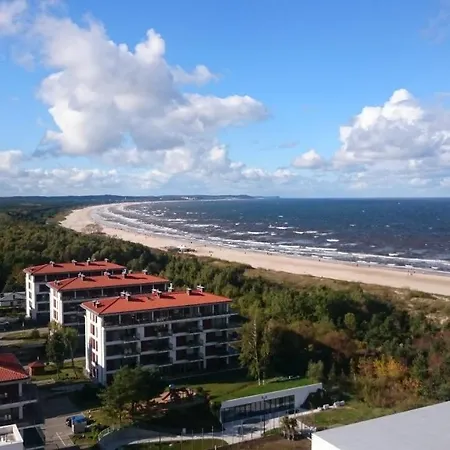 Mini Marine * Свиноуйсьце